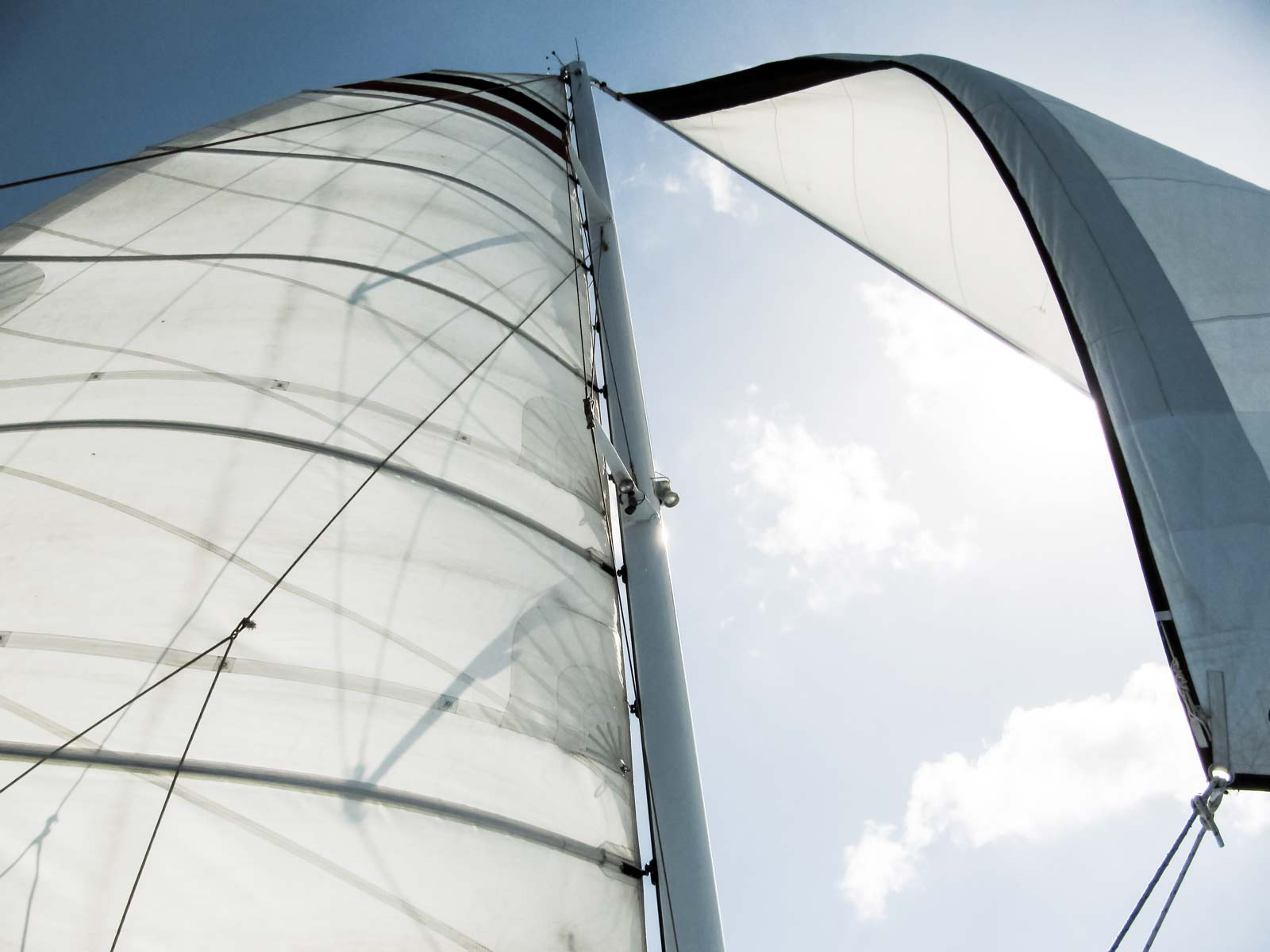 Odoo • Una imagen con una leyenda